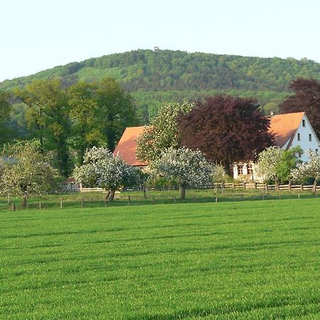 Ferienwohnung An Der Obstwiese Borgholzhausen Esterno foto