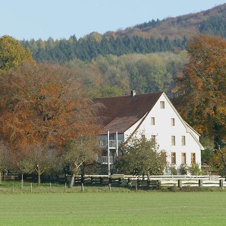 Ferienwohnung An Der Obstwiese Borgholzhausen Esterno foto