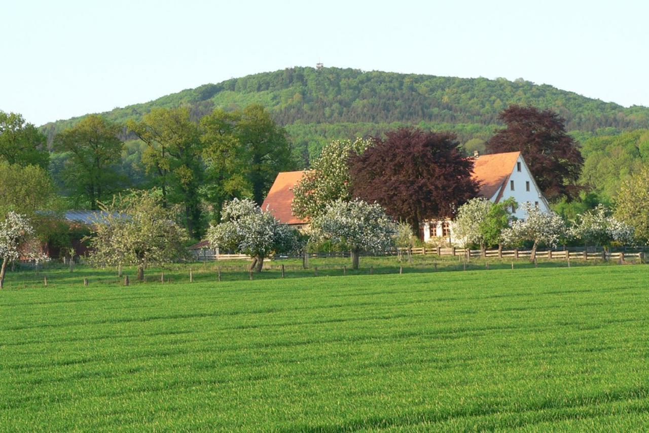 Ferienwohnung An Der Obstwiese Borgholzhausen Esterno foto