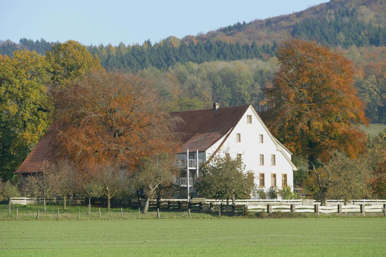 Ferienwohnung An Der Obstwiese Borgholzhausen Esterno foto