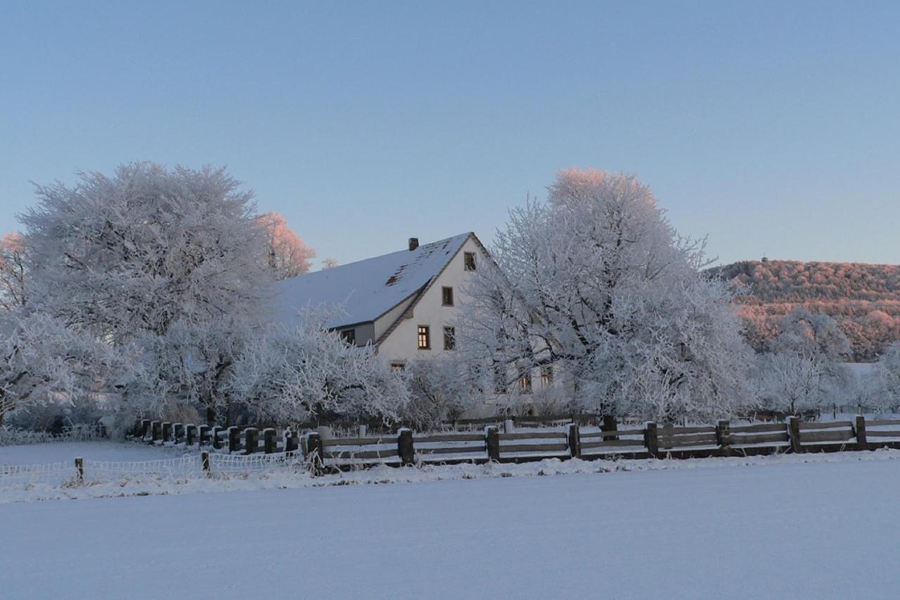 Ferienwohnung An Der Obstwiese Borgholzhausen Esterno foto